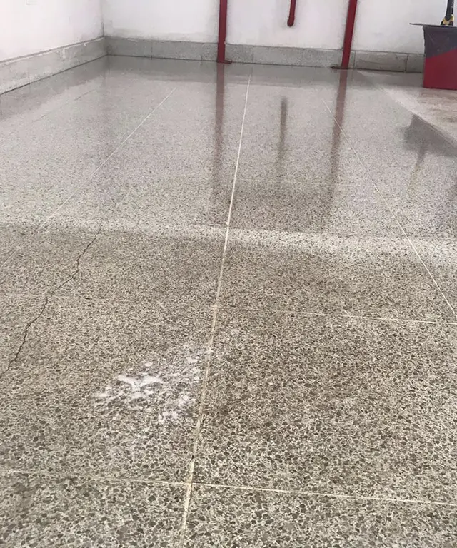 Vitrificado de Baldosas Antiguas - Portada